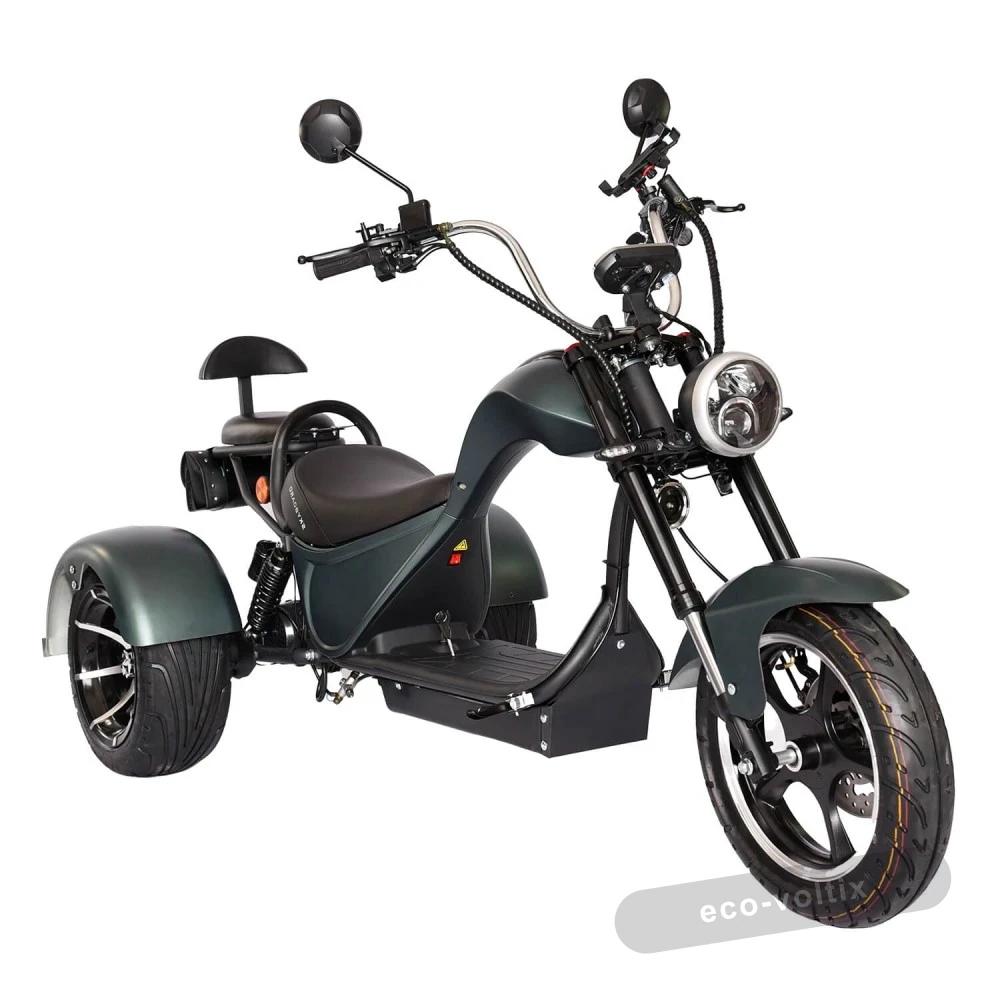 Электроскутер CityCoco SKYBOARD BR20-2WD Синий