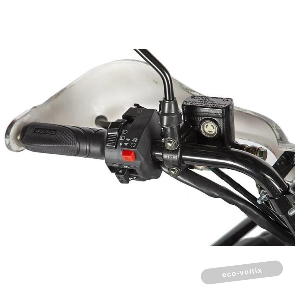 Электроквадроцикл Voltrix Raider Dual Motor 60V4000W Лесная чаща