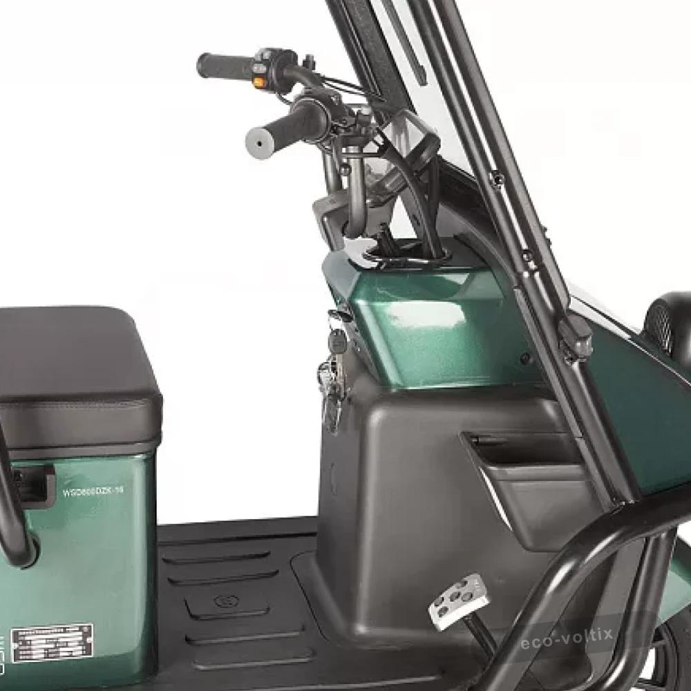 Электротрицикл Wanshida NIPLA 500 60V 1000Вт Черно-белый