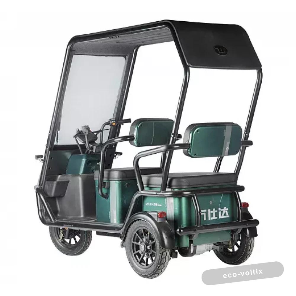 Электротрицикл Wanshida NIPLA 500 60V 1000Вт Черно-белый