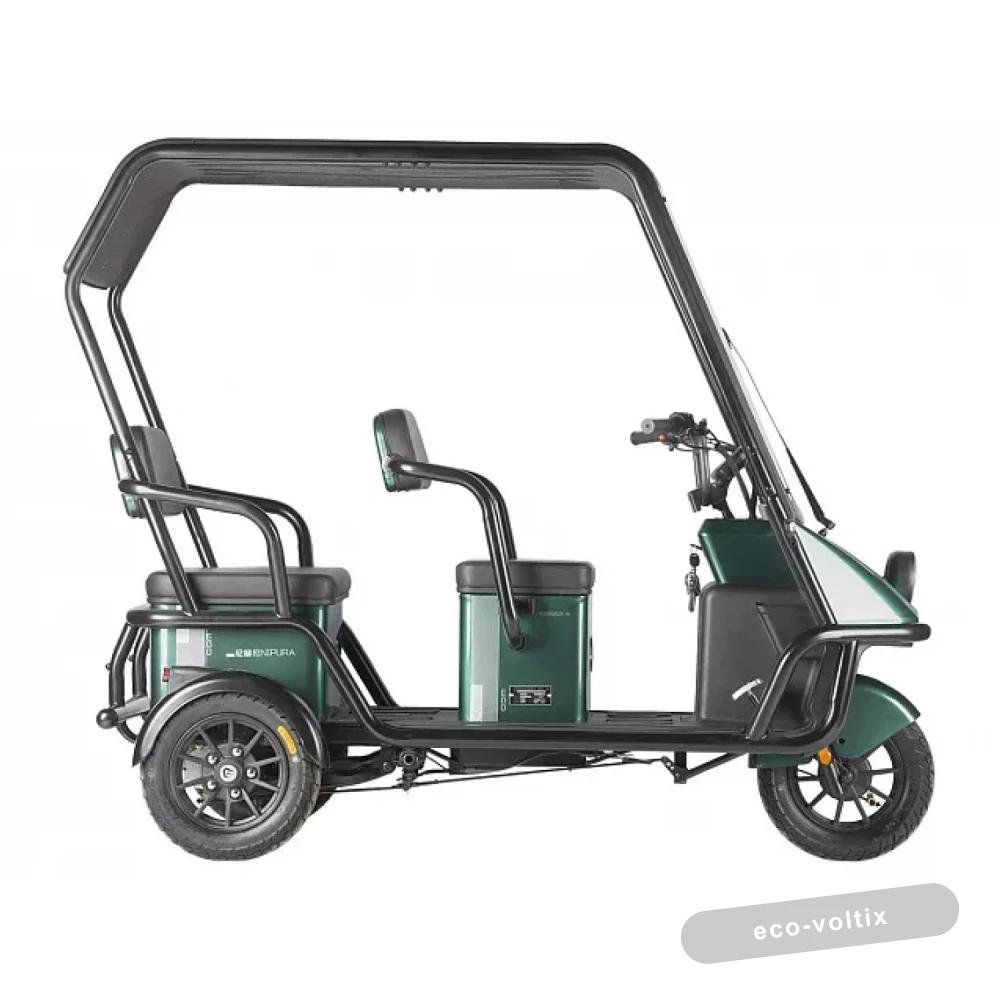 Электротрицикл Wanshida NIPLA 500 60V 1000Вт Черно-белый