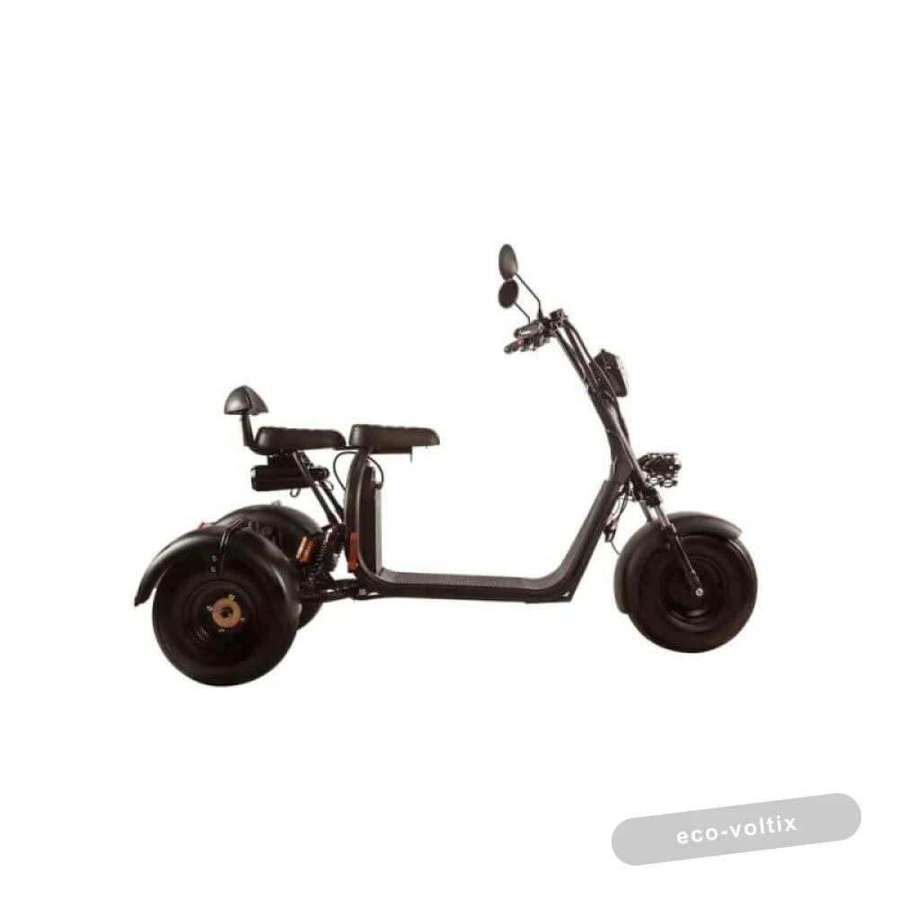 Электроскутер трехколесный CityCoco Trike Skyboard 1000W 20AH/60V