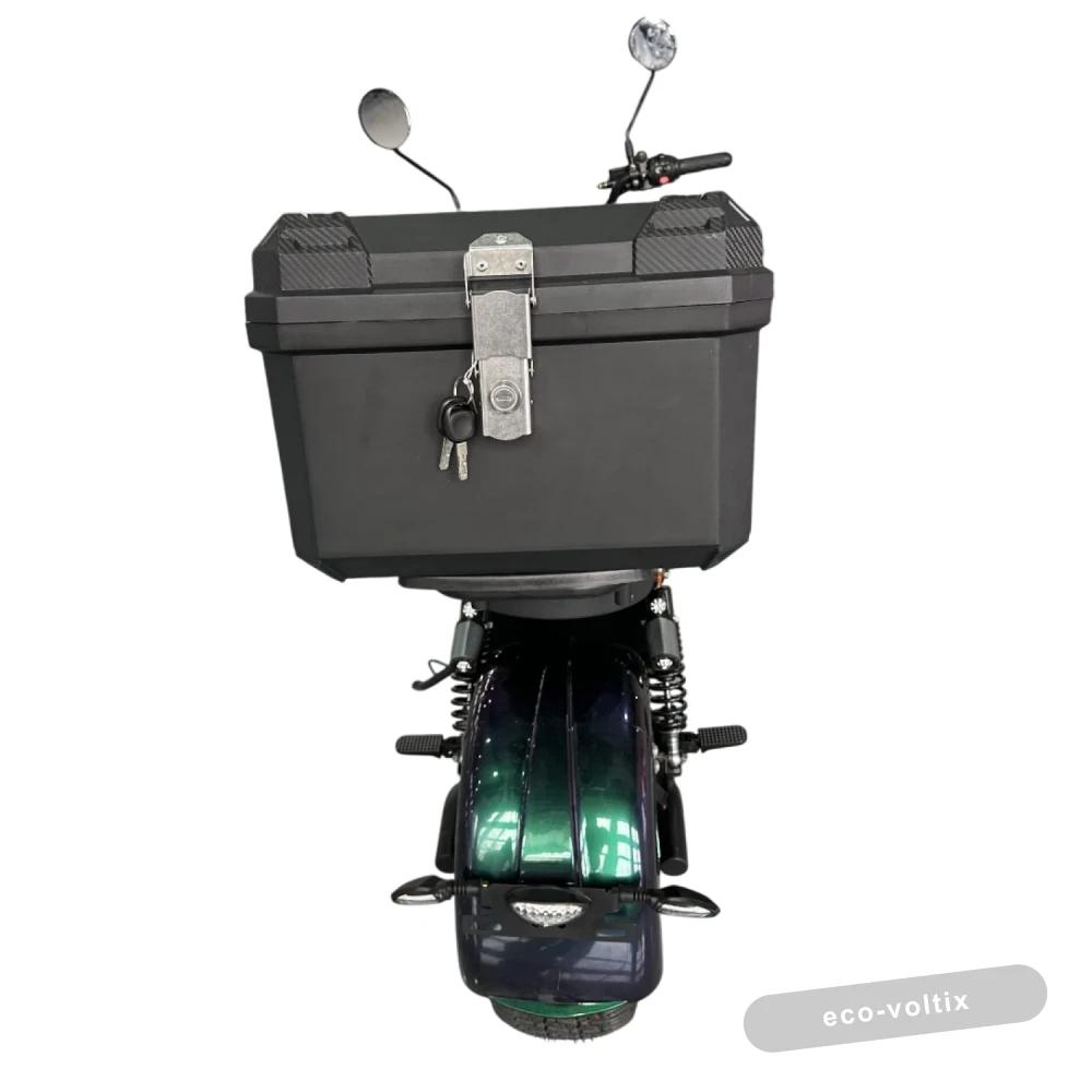 Электроскутер Skyboard Ural 2WD LiFePo4