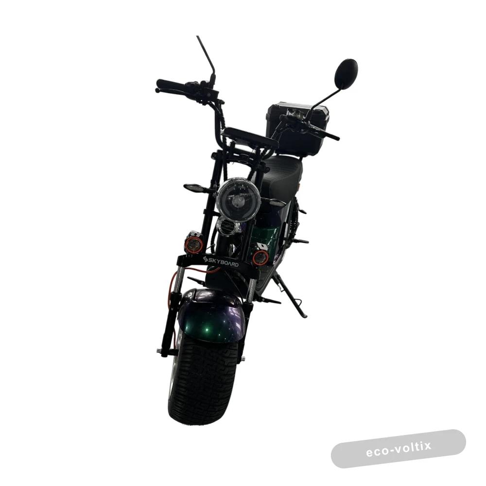 Электроскутер Skyboard Ural 2WD LiFePo4